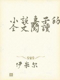 小说妻子的秘密全文阅读封面