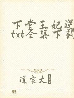 下堂王妃逆袭记txt全集下载