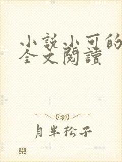 小说小可的奶水全文阅读封面