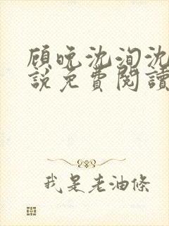 顾晚沈洵沈冰小说免费阅读最新章节