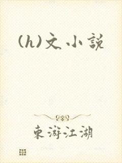 (h)文小说