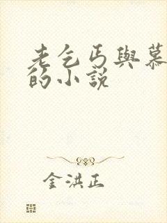 老乞丐与慕容雪的小说