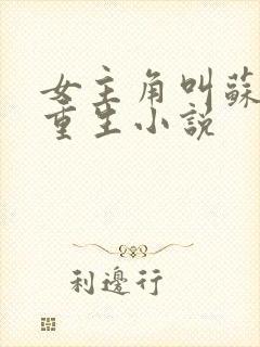 女主角叫苏婉的重生小说封面