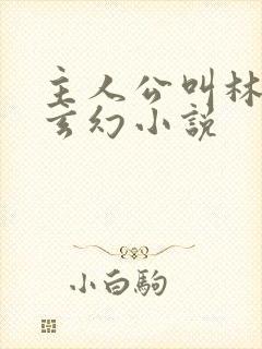 主人公叫林峰的玄幻小说