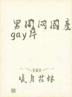 男同网国产原创gay片