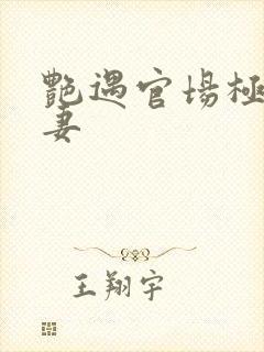 艳遇官场极品人妻