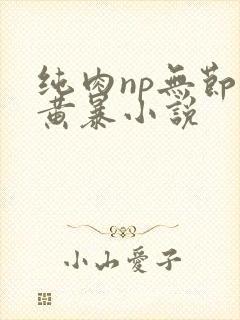 纯肉np无节操黄暴小说