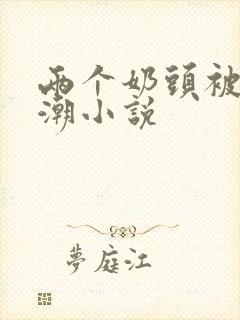 两个奶头被捏高潮小说