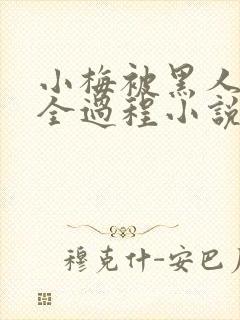 小梅被黑人调教全过程小说