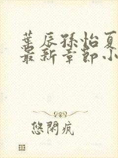 叶辰孙怡夏若雪最新章节小说心