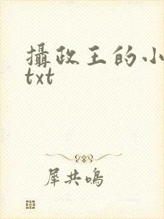 摄政王的小闲妻txt封面