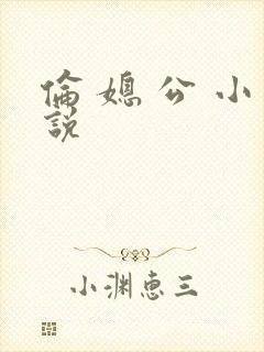 伦 媳 公 小说封面