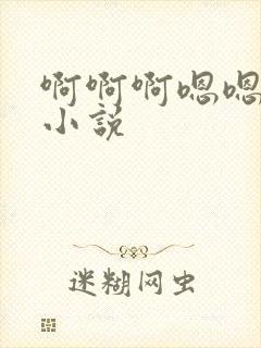 啊啊啊嗯嗯操乳小说