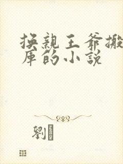 换亲王爷搬空国库的小说