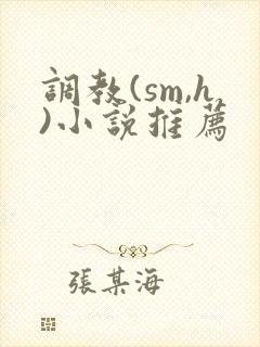 调教(sm,h)小说推荐