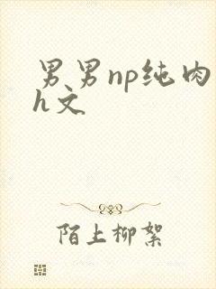 男男np纯肉高h文封面