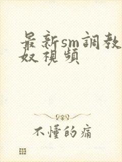 最新sm调教男奴视频