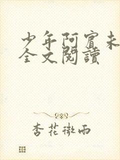 少年阿宾未删减全文阅读封面