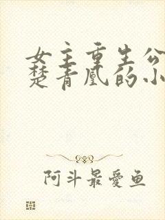 女主重生公主叫楚青凰的小说