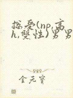 总受(np,高h,双性)男男