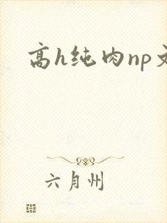 高h纯肉np文