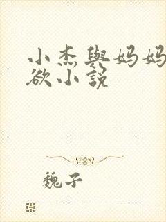 小杰与妈妈的肉欲小说