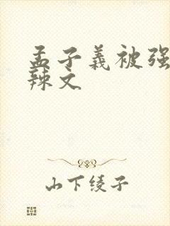 孟子义被强h肉辣文