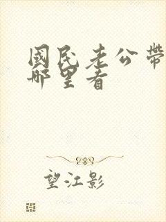 国民老公带回家哪里看