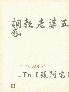 调教老婆五年有感封面