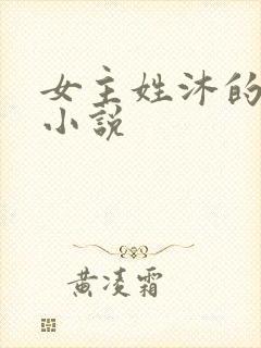 女主姓沐的现代小说