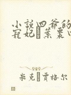 小说四爷的心尖宠妃·叶枣四爷全篇