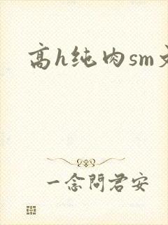 高h纯肉sm文