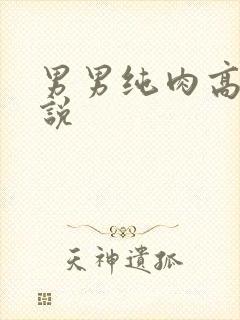 男男纯肉高h小说