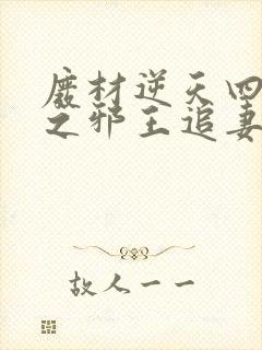 废材逆天四小姐之邪王追妻