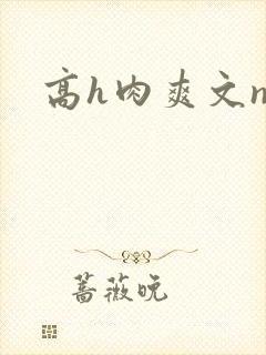 高h肉爽文np封面