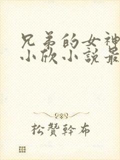 兄弟的女神女友小欣小说最新章节更