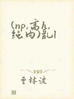 (np,高h,纯肉)乱l封面