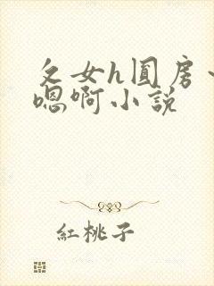 攵女h圆房～h嗯啊小说封面