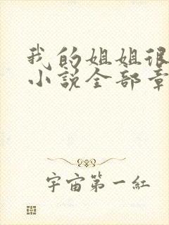 我的姐姐很弟控小说全部章节