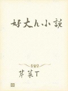 好大h小说