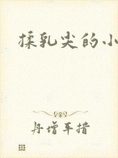 揉乳尖的小说封面