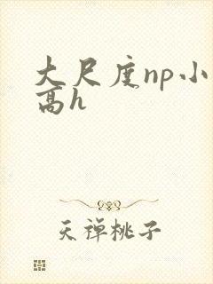 大尺度np小说高h封面