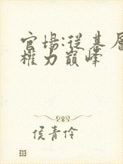 官场:从基层到权力巅峰