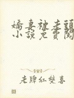 娇妻被老头征服小说免费阅读封面