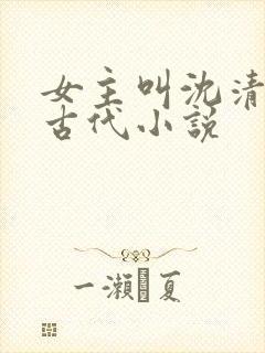 女主叫沈清欢的古代小说