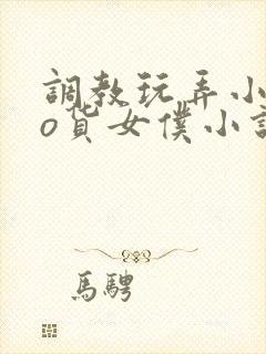 调教玩弄小sao货女仆小说封面