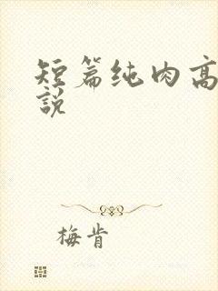 短篇纯肉高h小说
