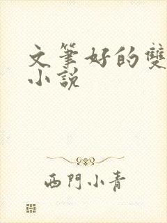 文笔好的双男主小说
