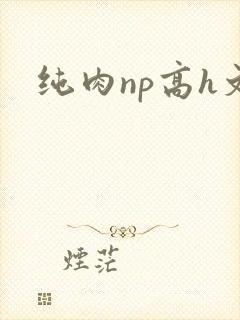 纯肉np高h文