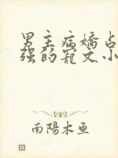 男主病娇占有欲强的宠文小说推荐